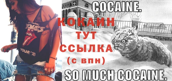 COCAINE Бородино