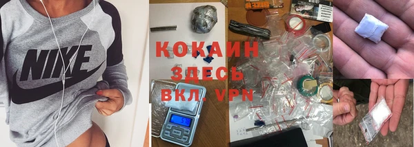 прущие крисы Верея