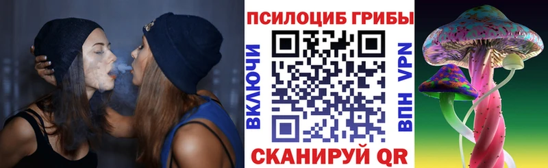 Псилоцибиновые грибы ЛСД Нестеровская