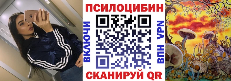 Псилоцибиновые грибы Psilocybine cubensis  Нестеровская 